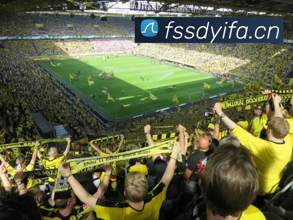 kaiyun「中国大陆」云开·门户网站 - 官方网站|登录入口APP 封面图